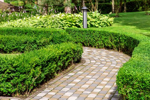 Cost of Paved Landscaping in Asheville