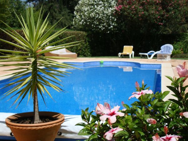 Cost of Pool Terrace Renovation in Asheville